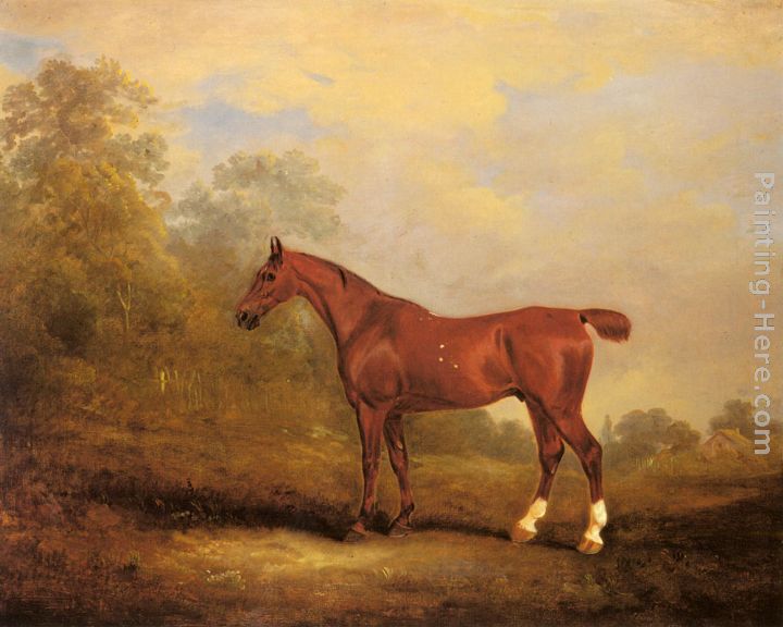 Cecil, a favorite Hunter of the Earl of Jersey in a Landscape painting - John Ferneley Snr Cecil, a favorite Hunter of the Earl of Jersey in a Landscape art painting